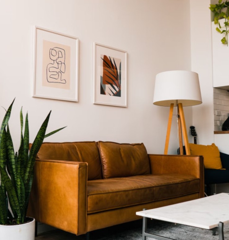 Living Room Project 1