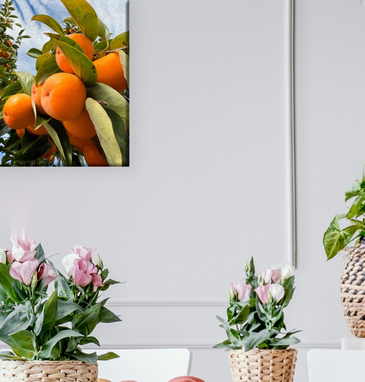 Persimmon Dreams.  Art Canvas. Wall Décor. 8X12 inch.